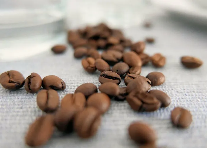 CHILLIapartamenty - Bliżej Morza - ESPRESSO