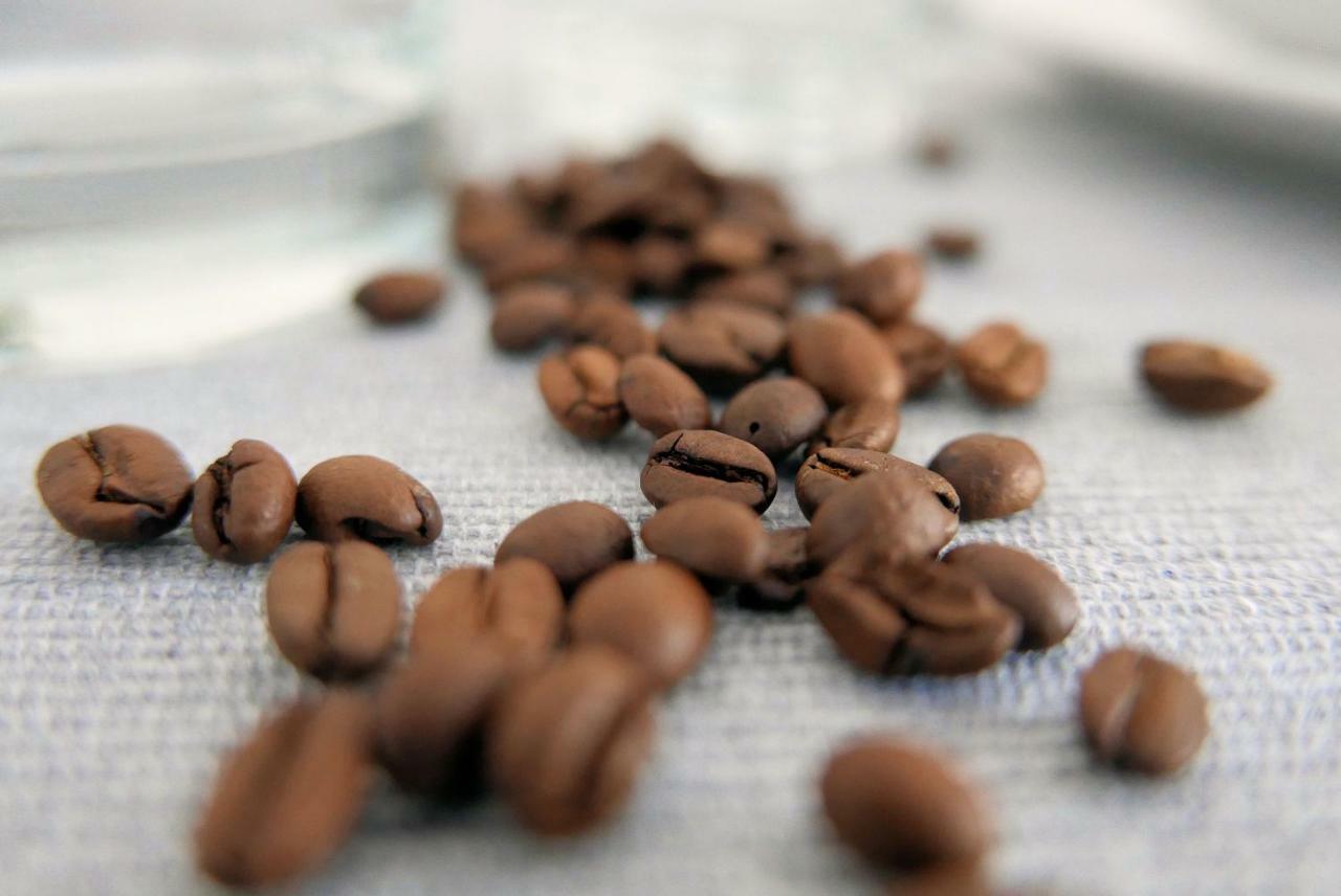 Chilliapartamenty - Bliżej Morza - Espresso Apartament